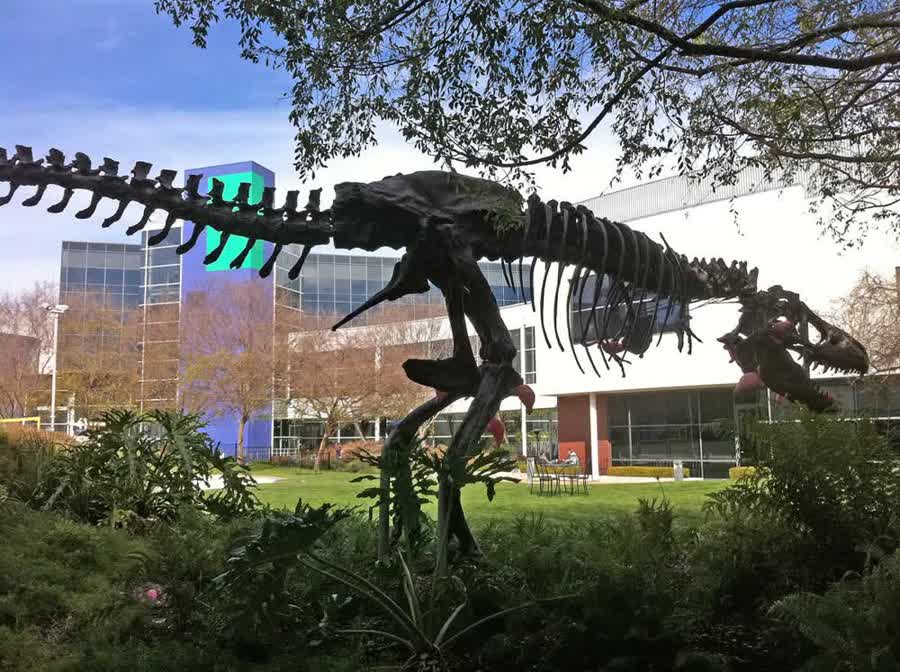 T-Rex-Skelett auf dem Googleplex