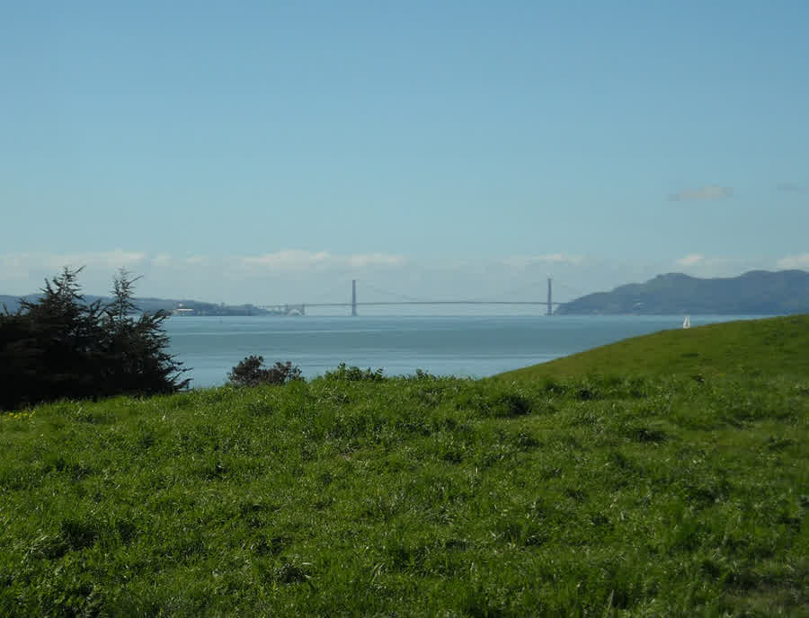 Golden Gate Bridge von einer grünen Wiese am Berkeley-Ufer